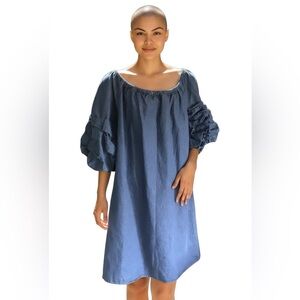LOVE by Christley Denim Country Western Ruffle Sleeve Dress Pull-On Size 2X